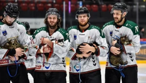 Hokeiści GKS-u Tychy z bezdomnymi kotami, z których większość znalazła nowy dom