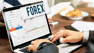 Kursy walut spokojne po burzliwym styczniu