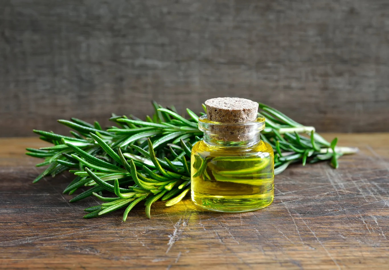 Rozmaryn to popularna roślina stosowana jako przyprawa