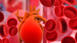 Czy grupa krwi wpływa na rozwój chorób serca?