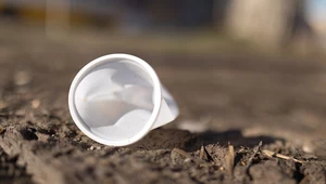 Będzie zakaz sprzedaży jednorazowych opakowań z plastiku? Zdj. ilustracyjne