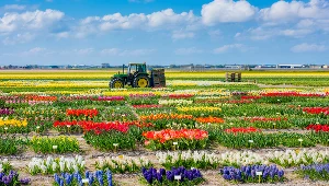 Pół miliona ha pod dzierżawę dla rolników w ciągu trzech lat 