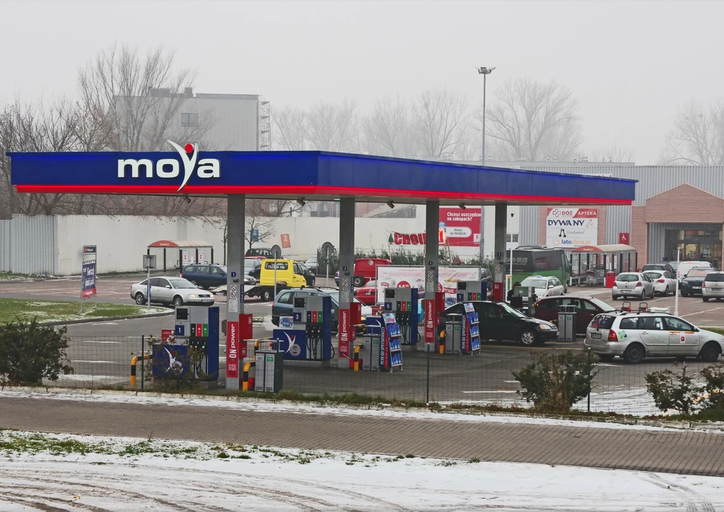 Największa niezależna sieć stacji to Moya