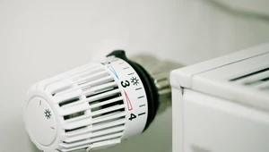 Wysokie koszty CO2 uderzają w producentów ciepła 