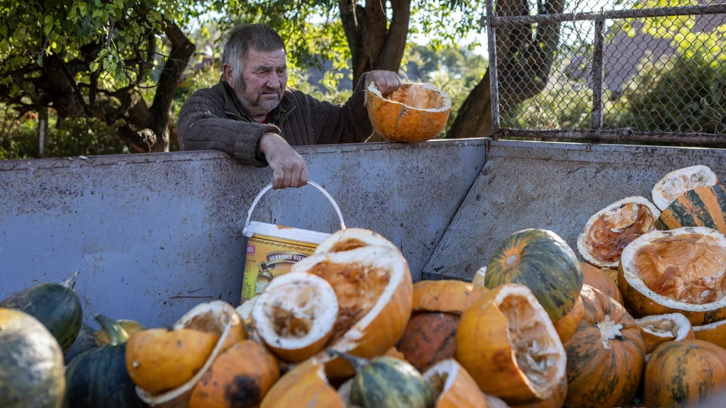 U rolników trwają przygotowania do zimy