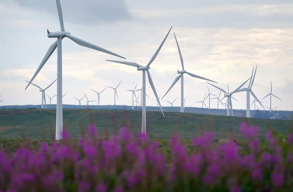 W Szkocji z odnawialnych źródeł produkuje się już niemal tyle energii, co zużywa cały kraj. Problem stanowi jednak magazynowanie jej nadwyżek