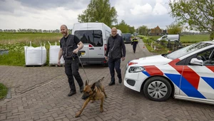 Sprawę tajemniczego zaginięcia pary Polaków bada holenderska policja. Zdjęcie ilustracyjne