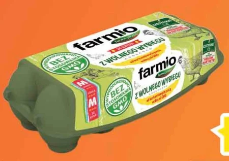 Farmio Jaja z wolnego wybiegu od kur karmionych paszą wolną od GMO M 10 sztuk