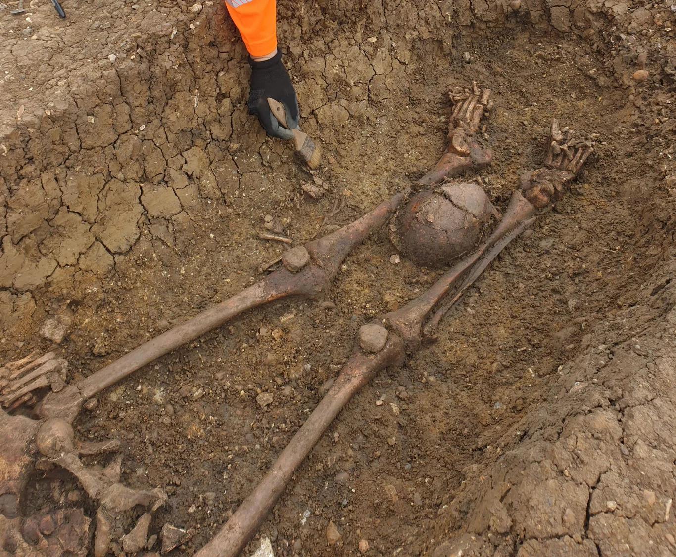 Archeolodzy znaleźli ponad 40 ciał poddanych dekapitacji, z głowami między nogami Archeolodzy znaleźli ponad 40 ciał poddanych dekapitacji, z głowami między nogami