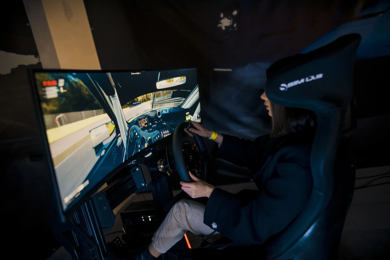 simracing simracing