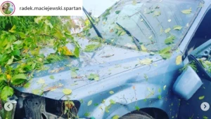 Koszmar w Meksyku. Zostali staranowani przez wariata