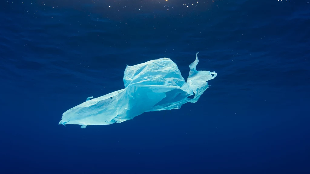 Plastikowa torba w morzu (zdjęcie ilustracyjne). Plastikowa torba w morzu (zdjęcie ilustracyjne).
