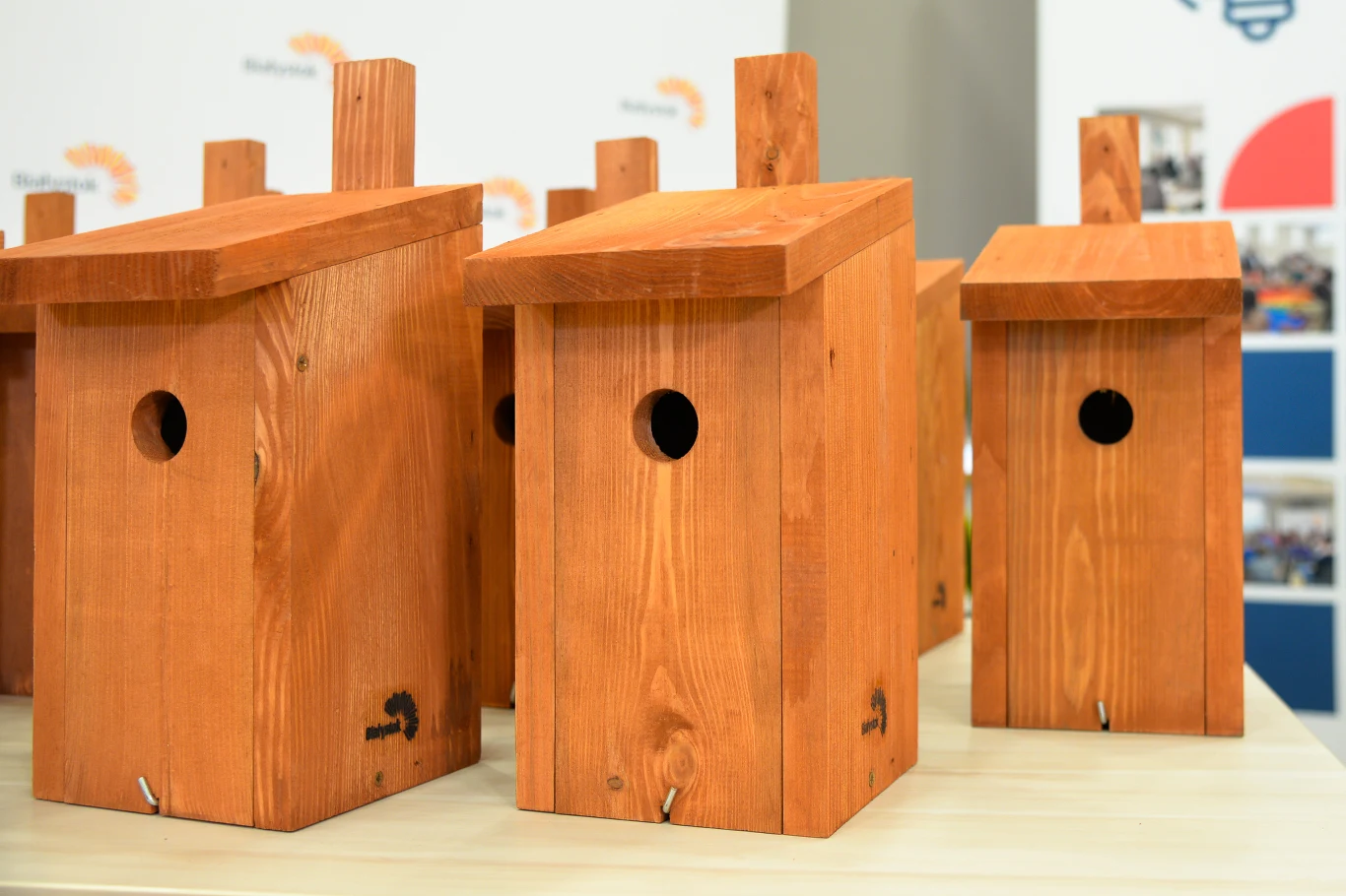 Budki lęgowe to jedno z narzędzi wspierających bioróżnorodność