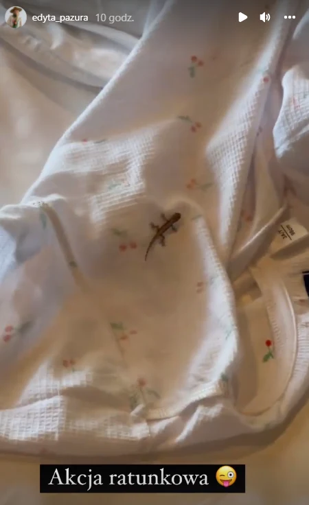 Edyta Pazura znalazła w swoim łóżku jaszczurkę https://www.instagram.com/edyta_pazura/