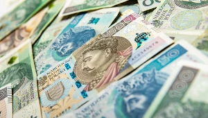 Kurs złotego będzie rosnąć z pomocą RPP