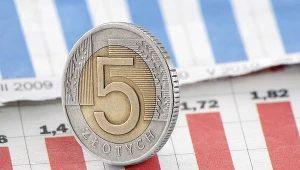 Silny złoty jest dzisiaj wskazany - mowi prezes NBP 