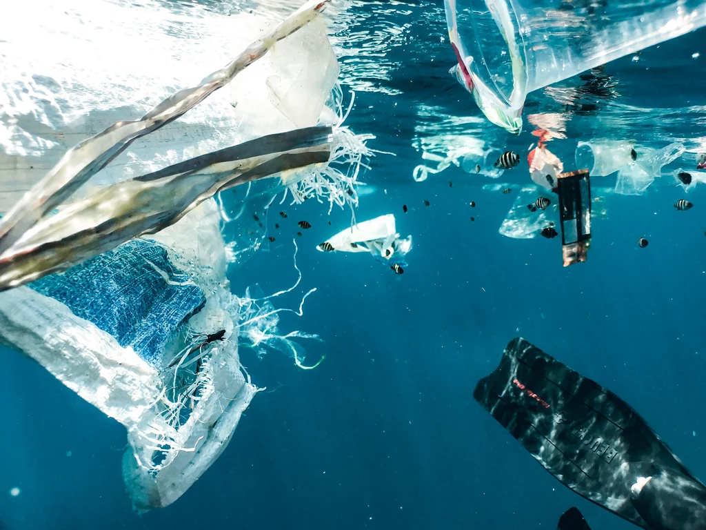 Plastik jest już wszędzie i stanowi około 60 proc. zanieczyszczeń mórz i oceanów - alarmuje WWF