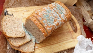 Spleśniały kawałek chleba wystarczy odkroić? Oto najważniejsze mity o przechowywaniu żywności