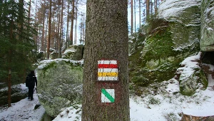 Oznakowanie szlaków pieszych oraz ścieżki przyrodniczej w Parku Narodowym Gór Stołowych