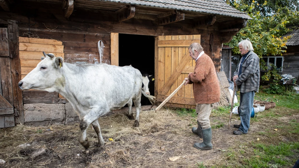 Na Podlasiu jak zwykle praca wre