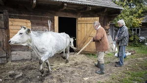 Rolnicy. Podlasie: Komplikacje i wyzwania przez zimą