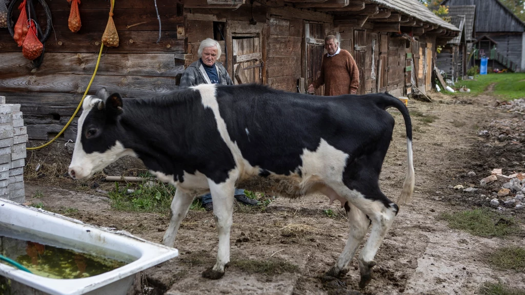 Zwierzęta nie zawsze chcą współpracować...