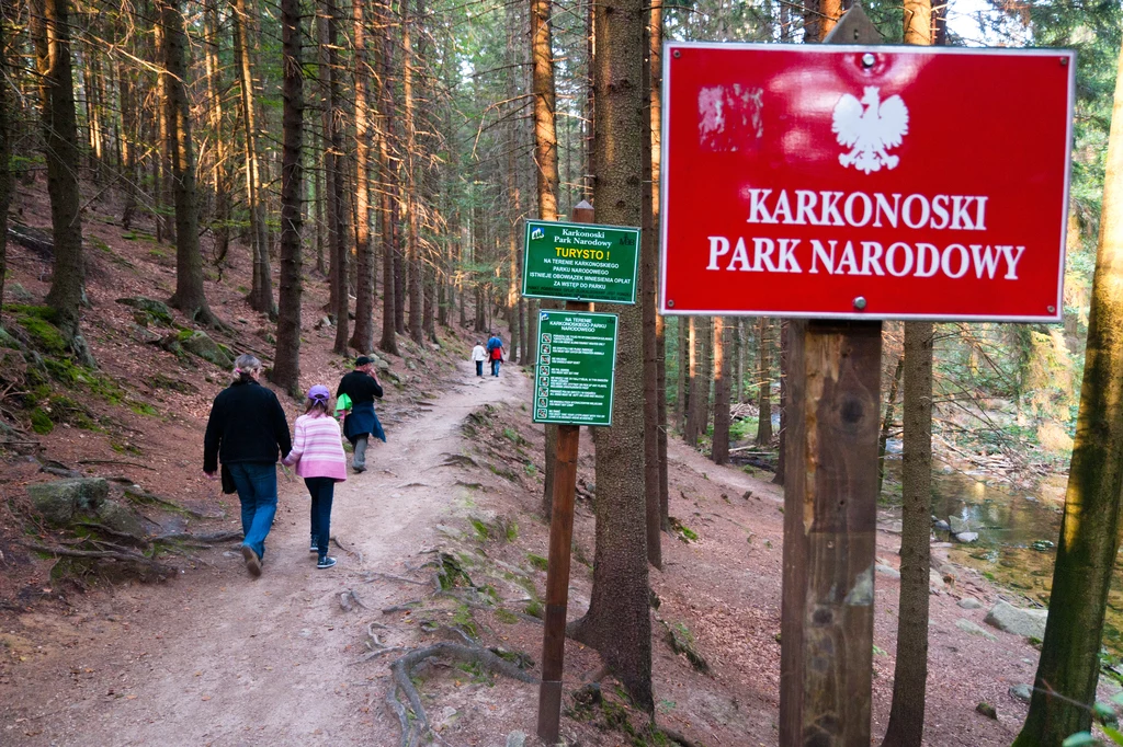 Według projektu Ministerstwa Klimatu i Środowiska wstęp do wszystkich 23 parków narodowych w Polsce będzie obowiązkowo płatny