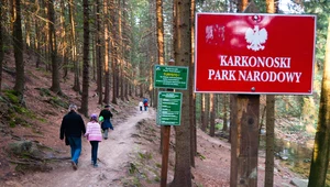 Wstęp do wszystkich parków narodowych w Polsce będzie płatny