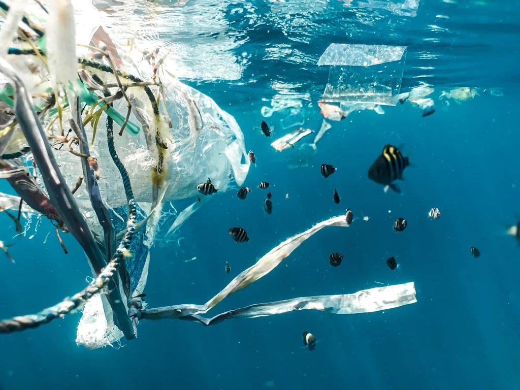 Plastikowe śmieci w oceanie (zdjęcie ilustracyjne).