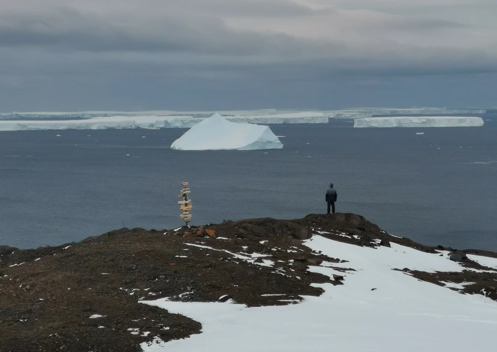 Człowiek patrzący na antarktyczny lodowiec (zdjęcie ilustracyjne).