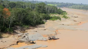 Amazonia tonie w rtęci. Peruwiańskie kopalnie złota niszczą największy las świata