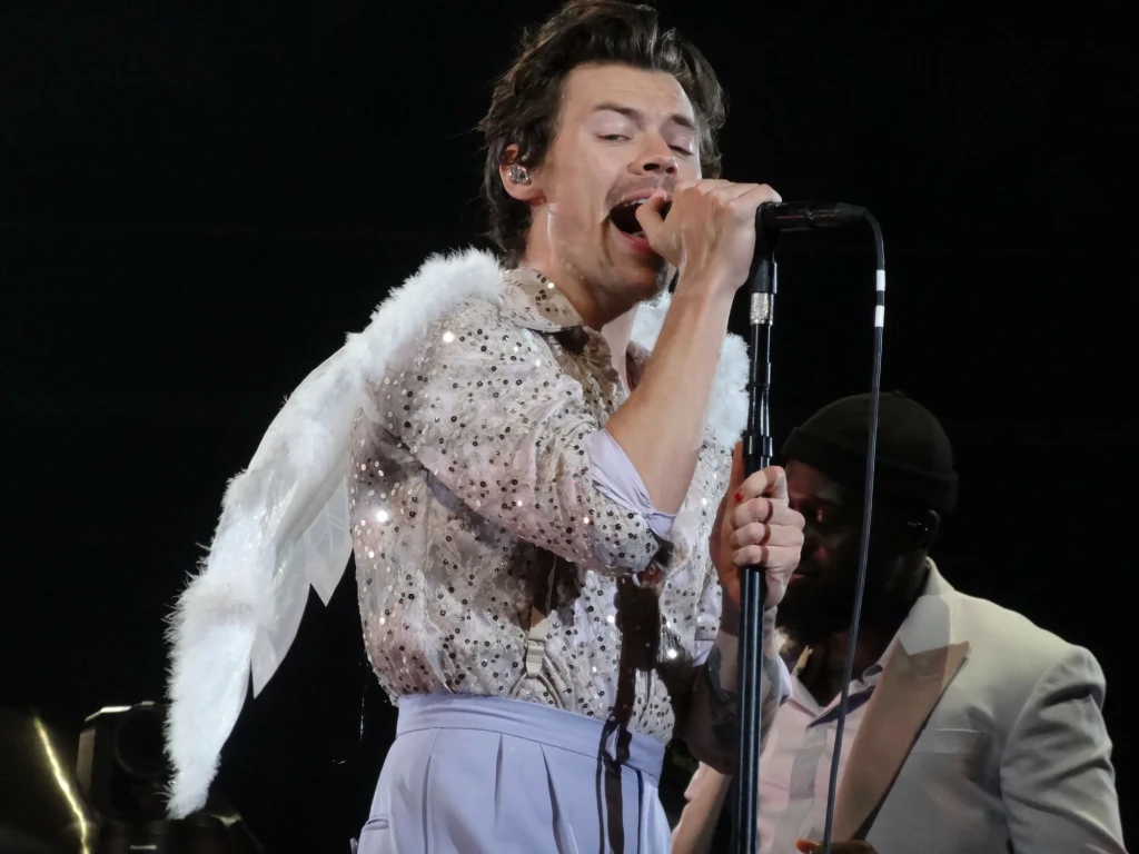 Harry Styles Harry Styles