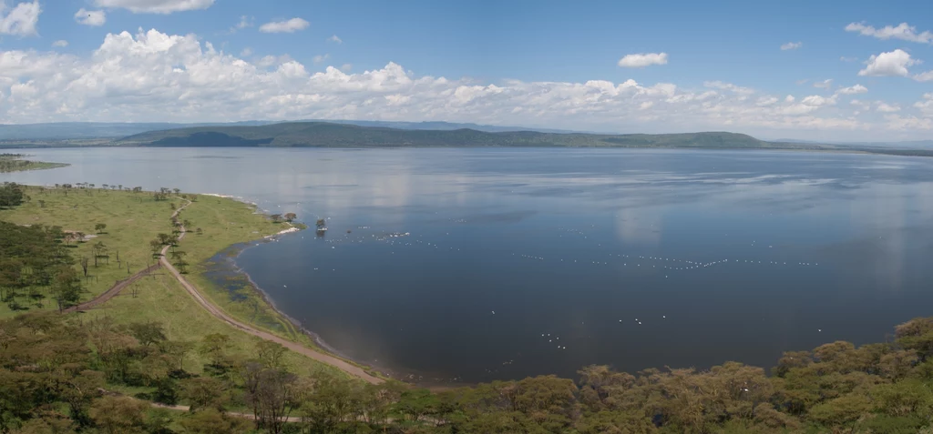 Jezioro Naivasha w Kenii.