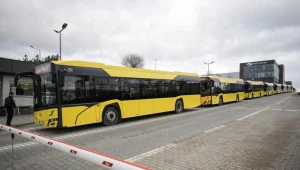 Solaris. Fot. Maciej Zakrzewski 