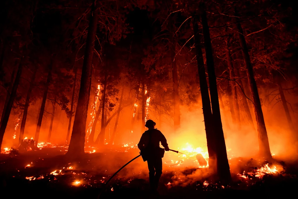 Ubiegłoroczne pożary lasów w Kalifornii strawiły obszar o wielkości miliona akrów.