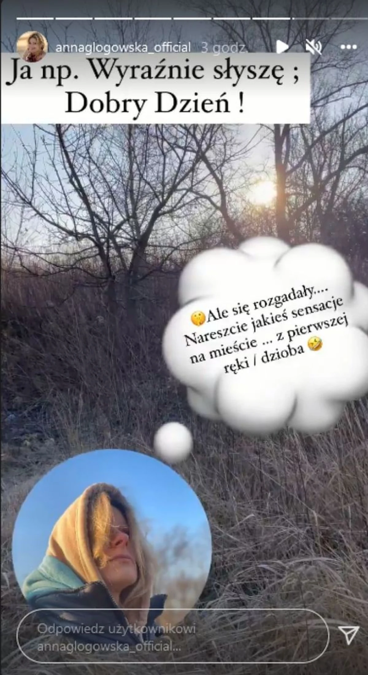 https://www.instagram.com/annaglogowska_official/