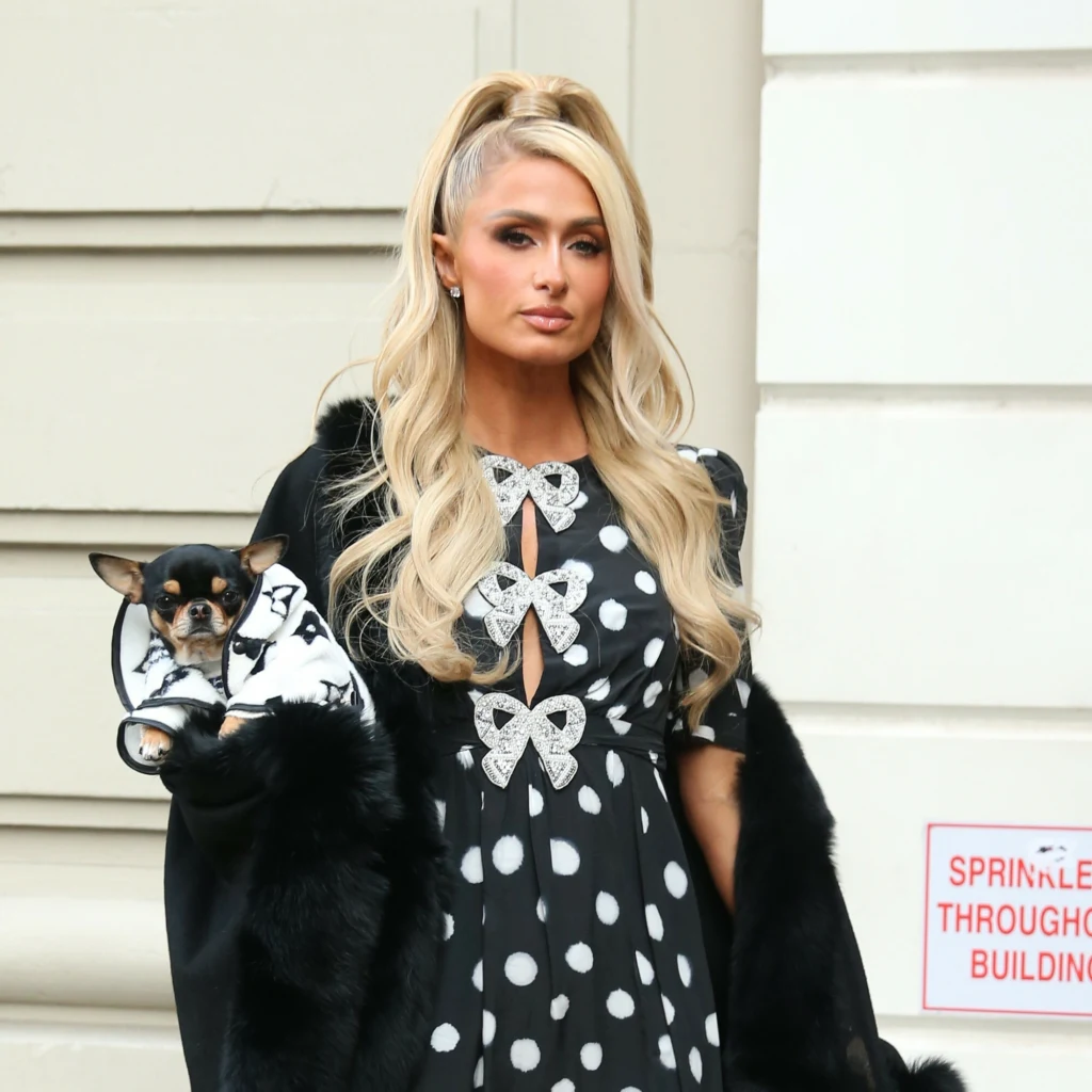 Paris Hilton rozpoczynała karierę w agencji Trumpa? Poznaj fakty z życia celebrytki 