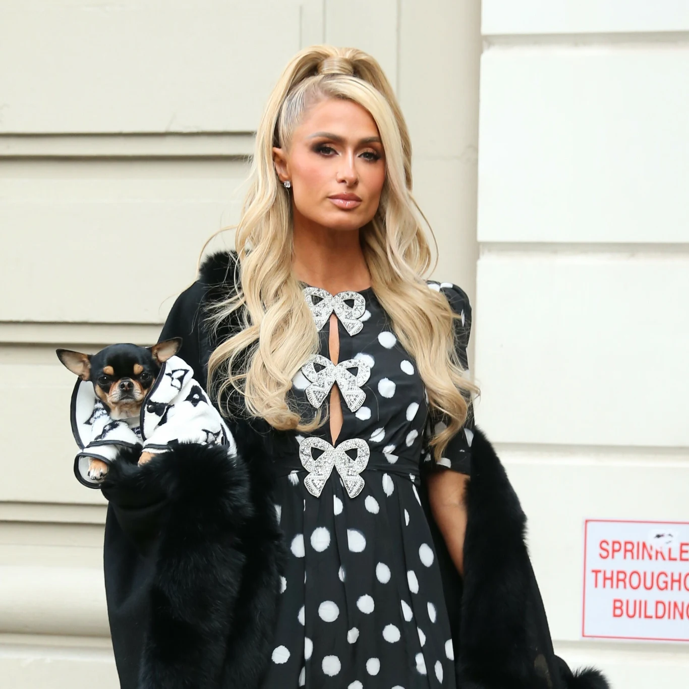 Paris Hilton rozpoczynała karierę w agencji Trumpa? Poznaj fakty z życia celebrytki Paris Hilton rozpoczynała karierę w agencji Trumpa? Poznaj fakty z życia celebrytki