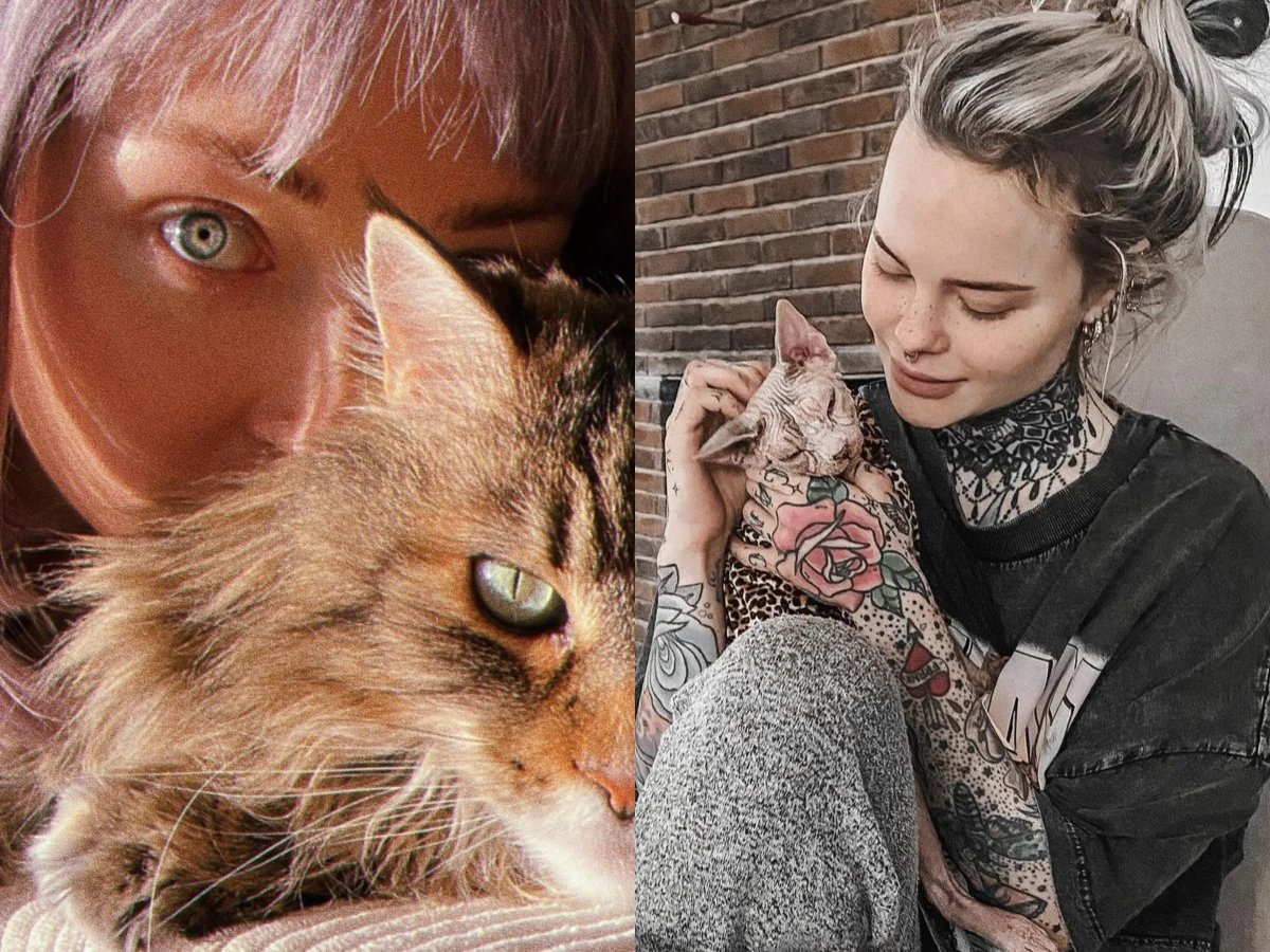 Dzień Kota 2022 Dzień Kota 2022