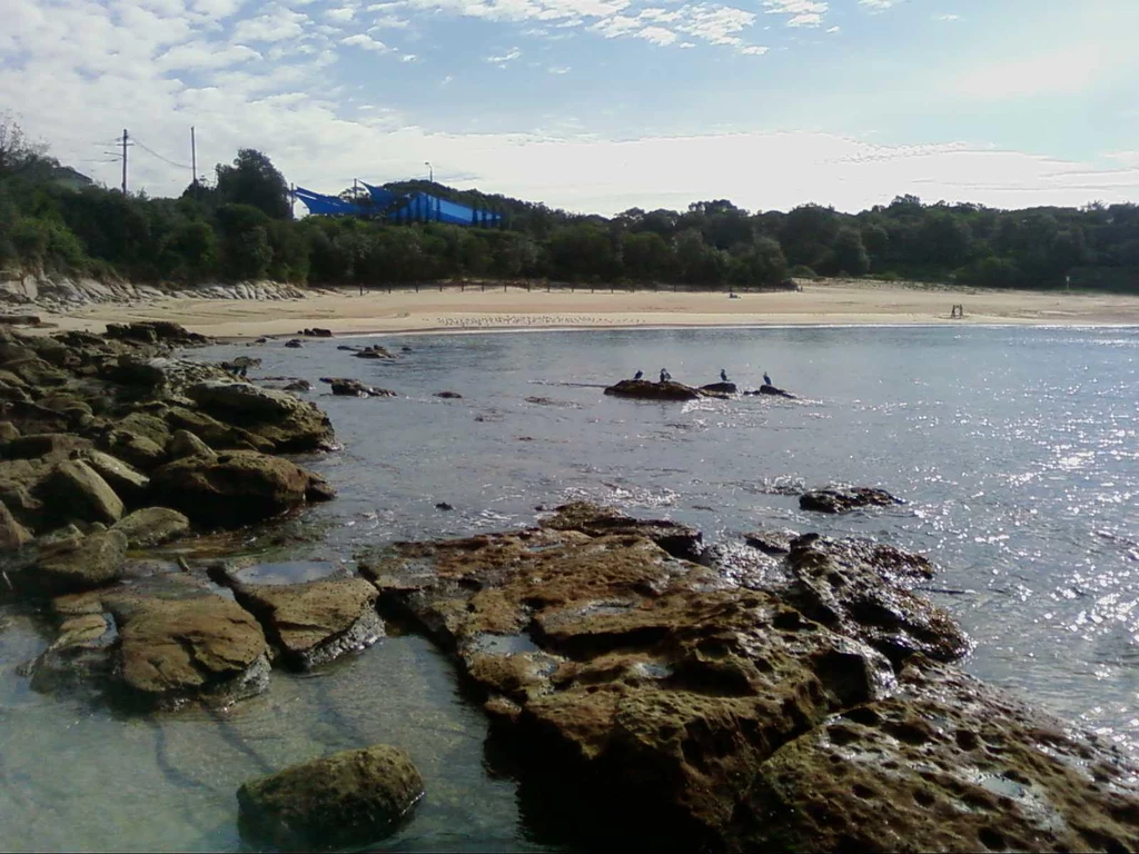 Plaża w Malabar, w pobliżu której doszło do ataku rekina