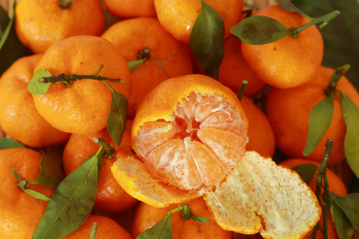 Skórki mandarynek mają wiele cennych właściwości