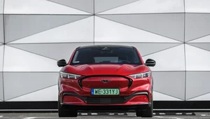 W styczniu 2022 liderem elektrycznych samochodów w Polsce został Ford Mustang Mach-E z liczbą 93 zarejestrowanych egzemplarzy.