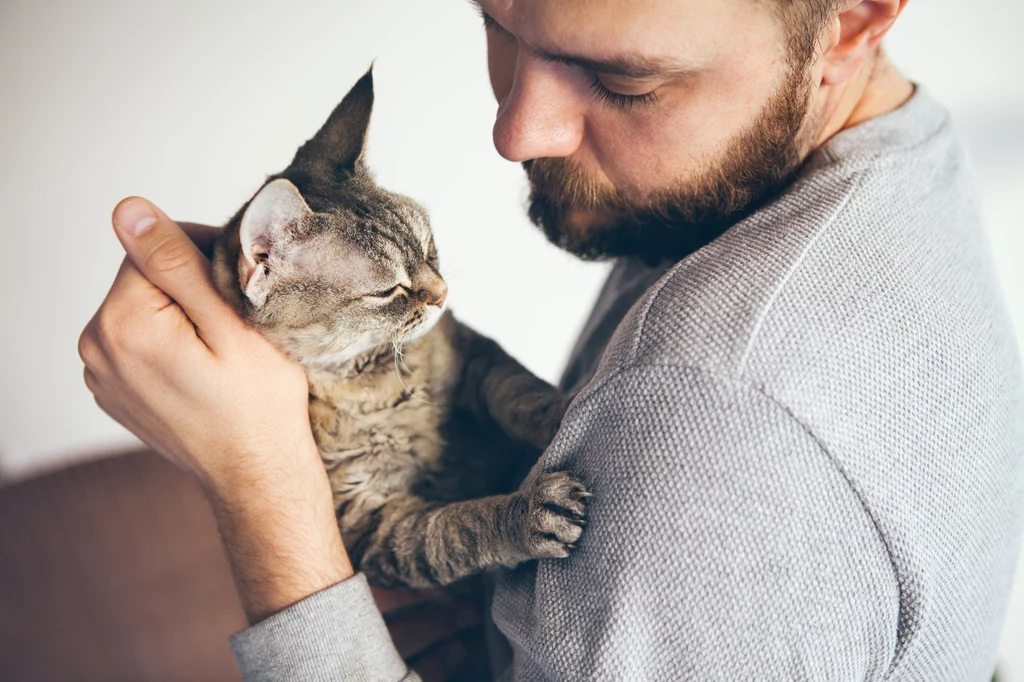 Koty mogą mruczeć, gdy domagają się uwagi właściciela lub coś im dolega