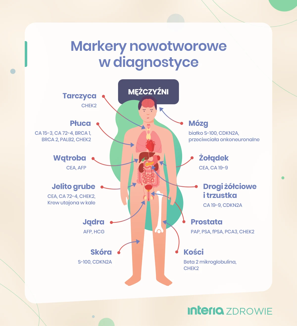 Markery nowotworowe badane w diagnostyce raka u mężczyzn Markery nowotworowe badane w diagnostyce raka u mężczyzn