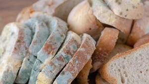 Pleśń na chlebie czy owocach zauważa się często. Jeśli się pojawi, po takie produkty już nie sięgajmy