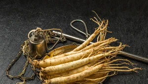 Korzeń żeń-szenia zawiera ponad 200 substancji aktywnych, które mają właściwości prozdrowotne