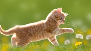 Kiedy wiosna 2022? Wielu Polaków z niecierpliwością wyczekuje poprawy pogody