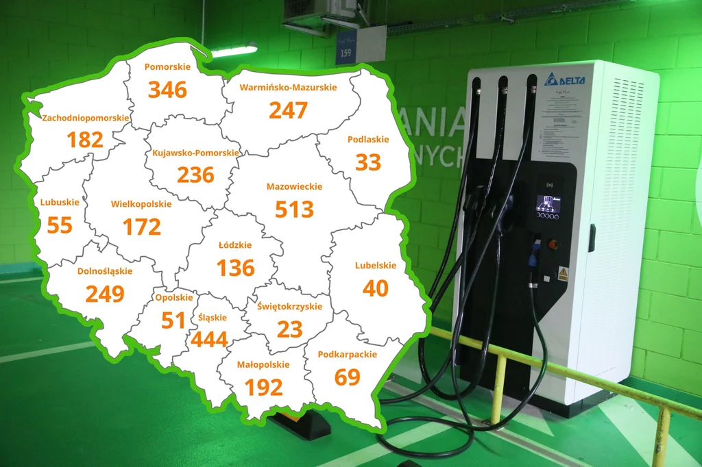 W Polsce w styczniu 2022 roku działało 2988 ogólnodostępnych punktów ładowania / Jakub Kamiński / East News/Interia