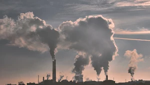 Firmy szkodzące środowisku dostają co roku 1,8 bln dolarów