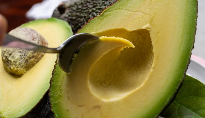 Awokado uchodzi za jeden z najzdrowszych owoców na świecie, ale nie każdy powinien sięgać po nie bez ograniczeń